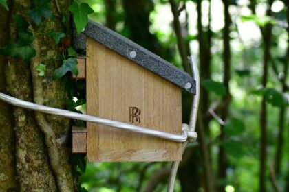 CREATURE COMFORTS: ROLLS-ROYCE APPRENTICES CREATE BESPOKE DORMOUSE HOUSES FOR GOODWOOD ESTATE