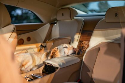 ROLLS-ROYCE SPECTRE BAILEY: A JOYFUL TRIBUTE TO A BELOVED DOG