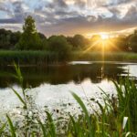 CELEBRATING NATURE: WILDLIFE AT THE HOME OF ROLLS-ROYCE