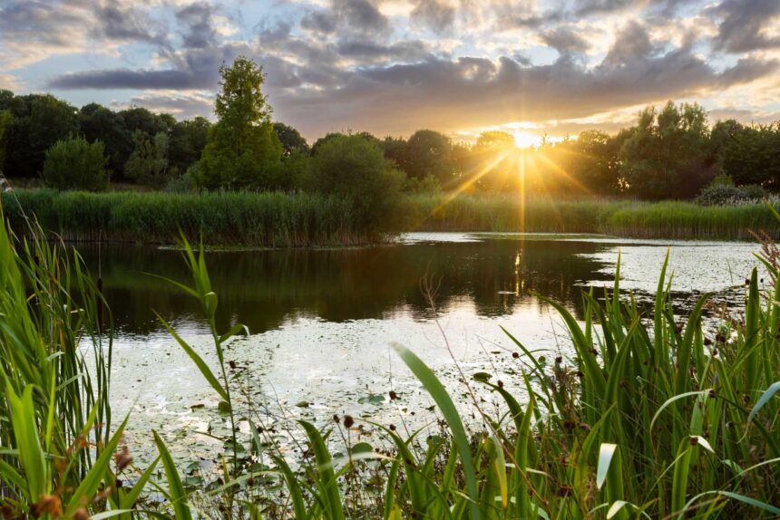 CELEBRATING NATURE: WILDLIFE AT THE HOME OF ROLLS-ROYCE