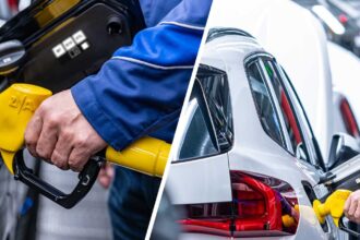 New study: From raw material to fossil-free mobility: Europe's potential for a renewable fuel market.